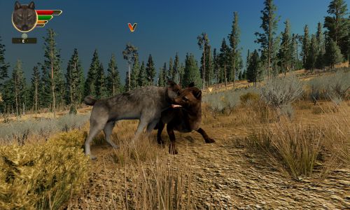 Download WolfQuest Anniversary Edition Early Highly Compressed