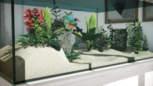 Aquarium Designer Free Download